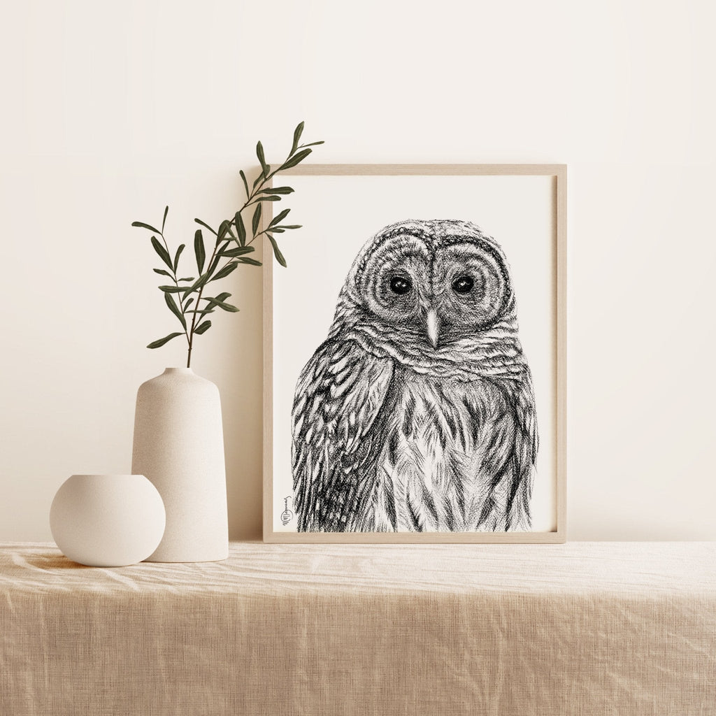 Barred Owl - Paper art Print