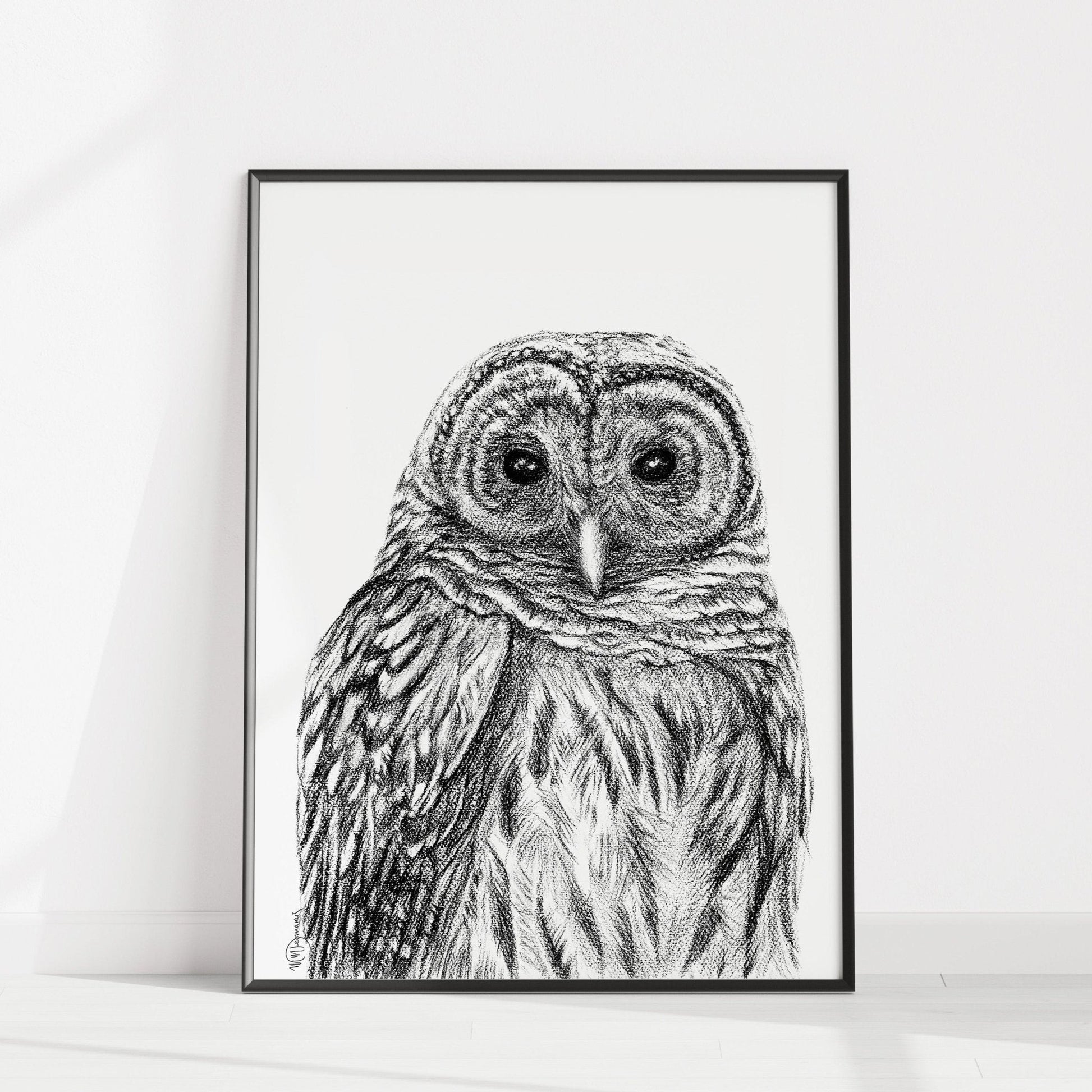 Barred Owl - Paper art Print
