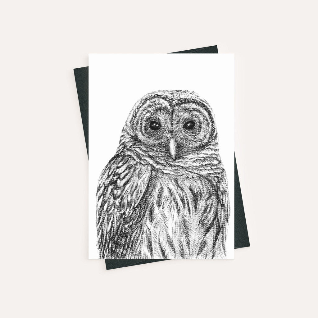 Barred Owl - greeting card