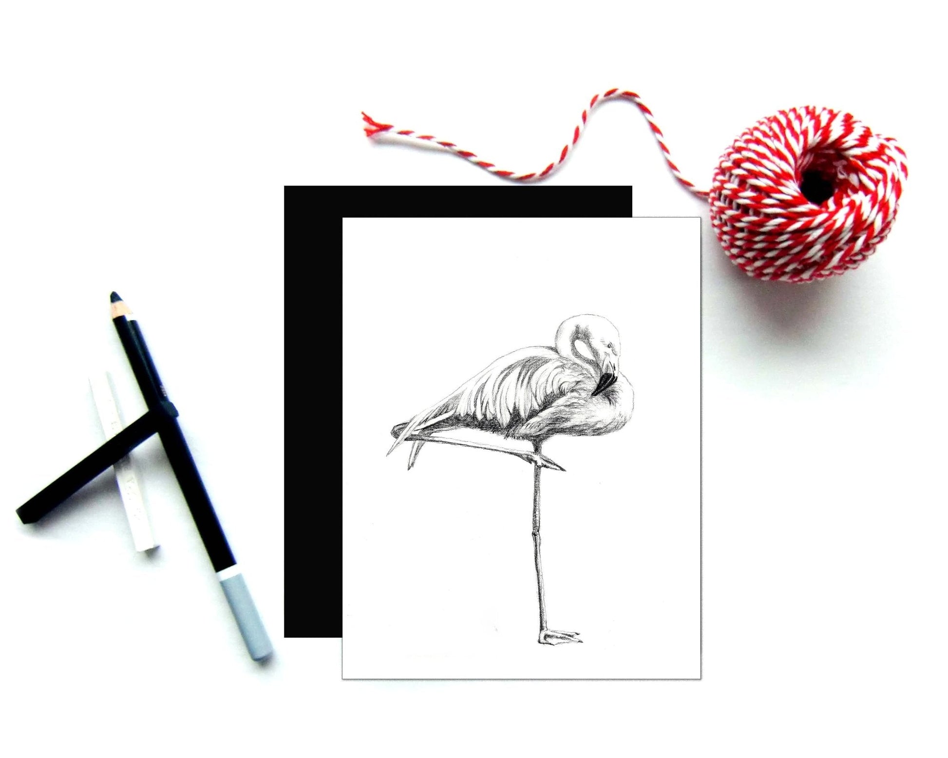 Beautiful Pink Flamingo Greeting Card