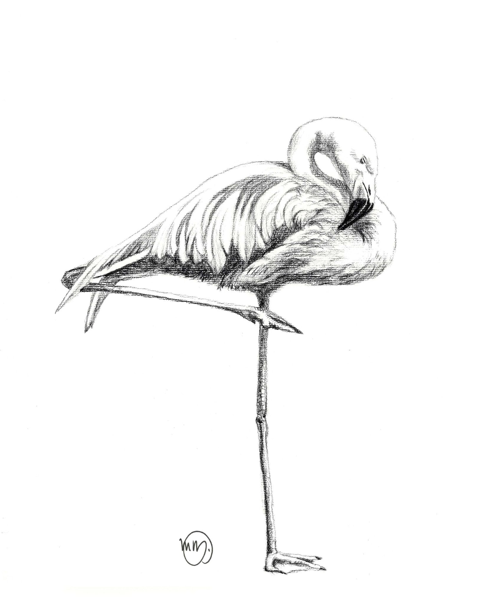 Beautiful Pink Flamingo Greeting Card