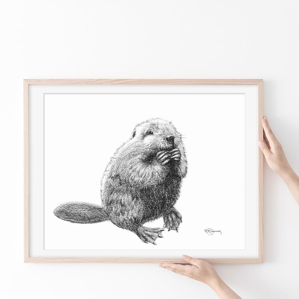 Baby Beaver - wildlife art print