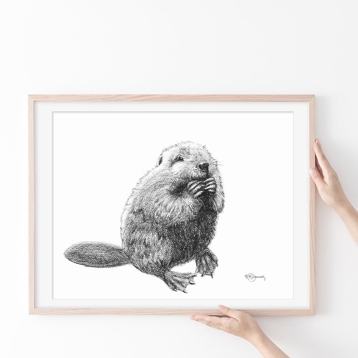 Baby Beaver - wildlife art print