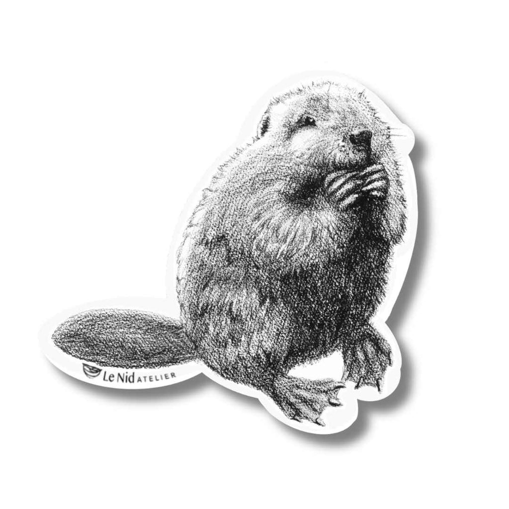 Beaver Sticker for Water Bottle, Agenda or Computer