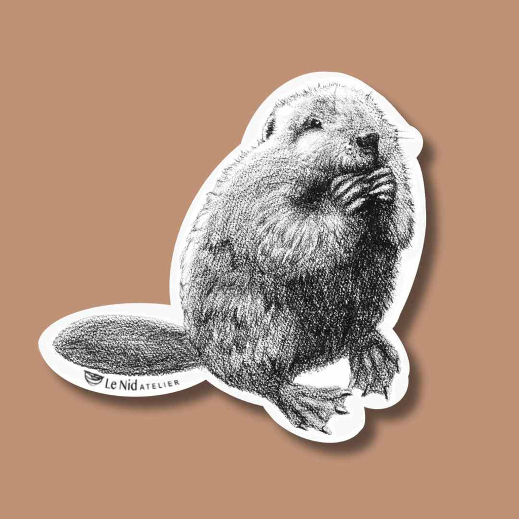 Beaver Sticker for Water Bottle, Agenda or Computer