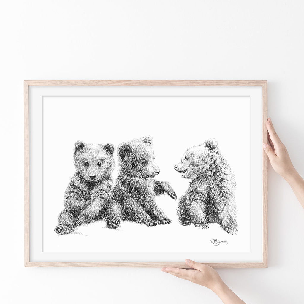 3 Brown Bear Cubs -  Illustration