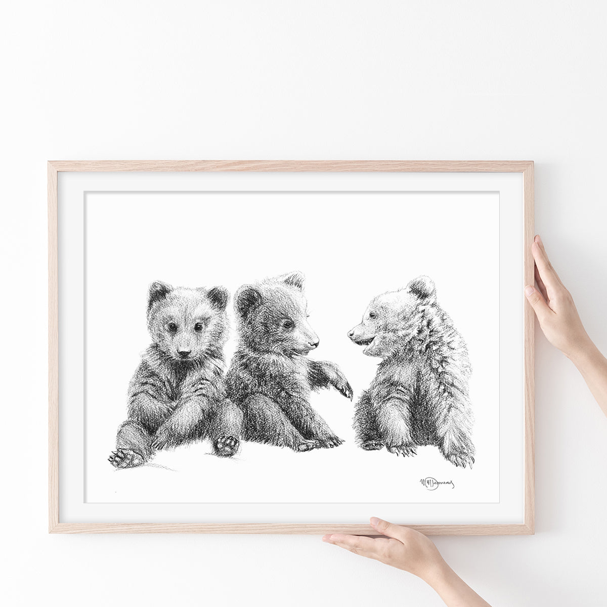 3 Brown Bear Cubs -  Illustration