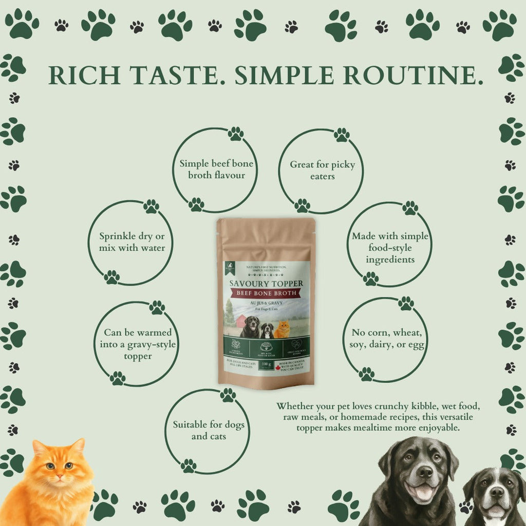 Ecogenya Savoury Topper Beef Bone Broth for Dogs & Cats — Au Jus & Gravy Meal Enhancer Powder, 100g–1kg