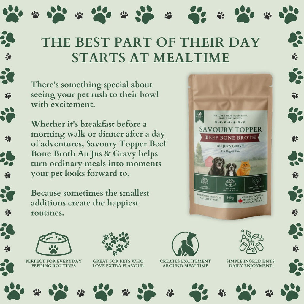 Ecogenya Savoury Topper Beef Bone Broth for Dogs & Cats — Au Jus & Gravy Meal Enhancer Powder, 100g–1kg