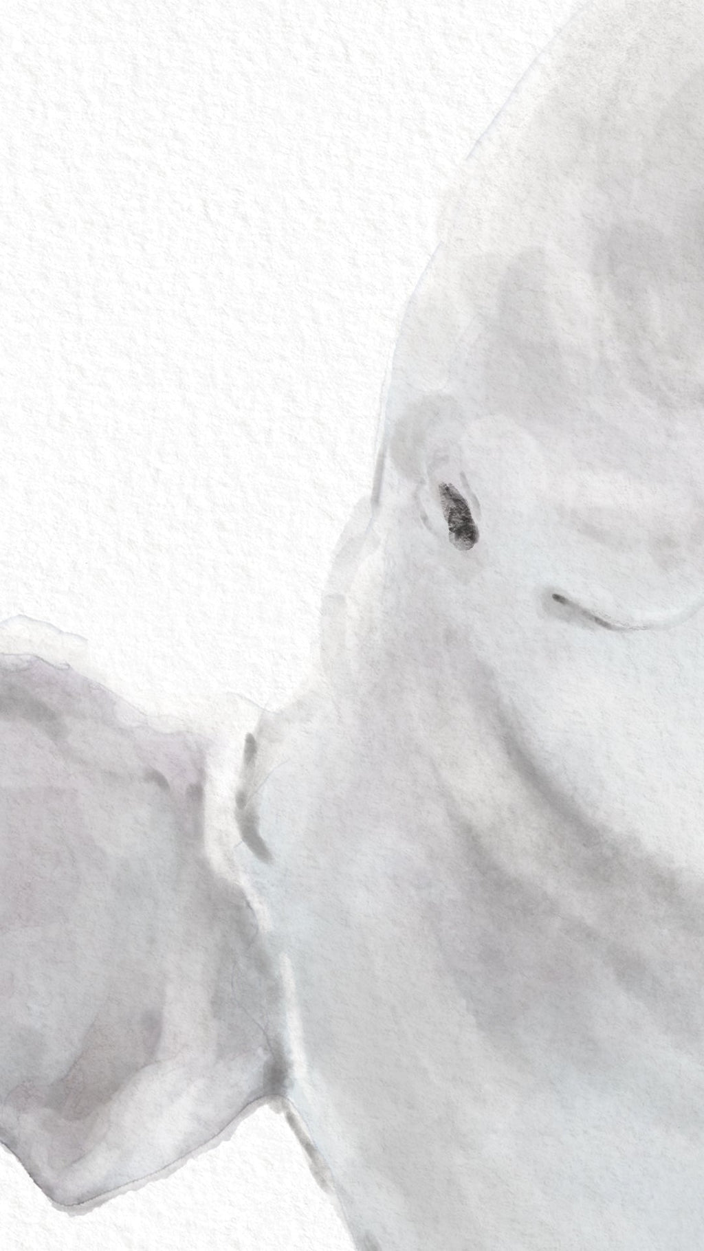 Estampe aquarelle Bébé Béluga