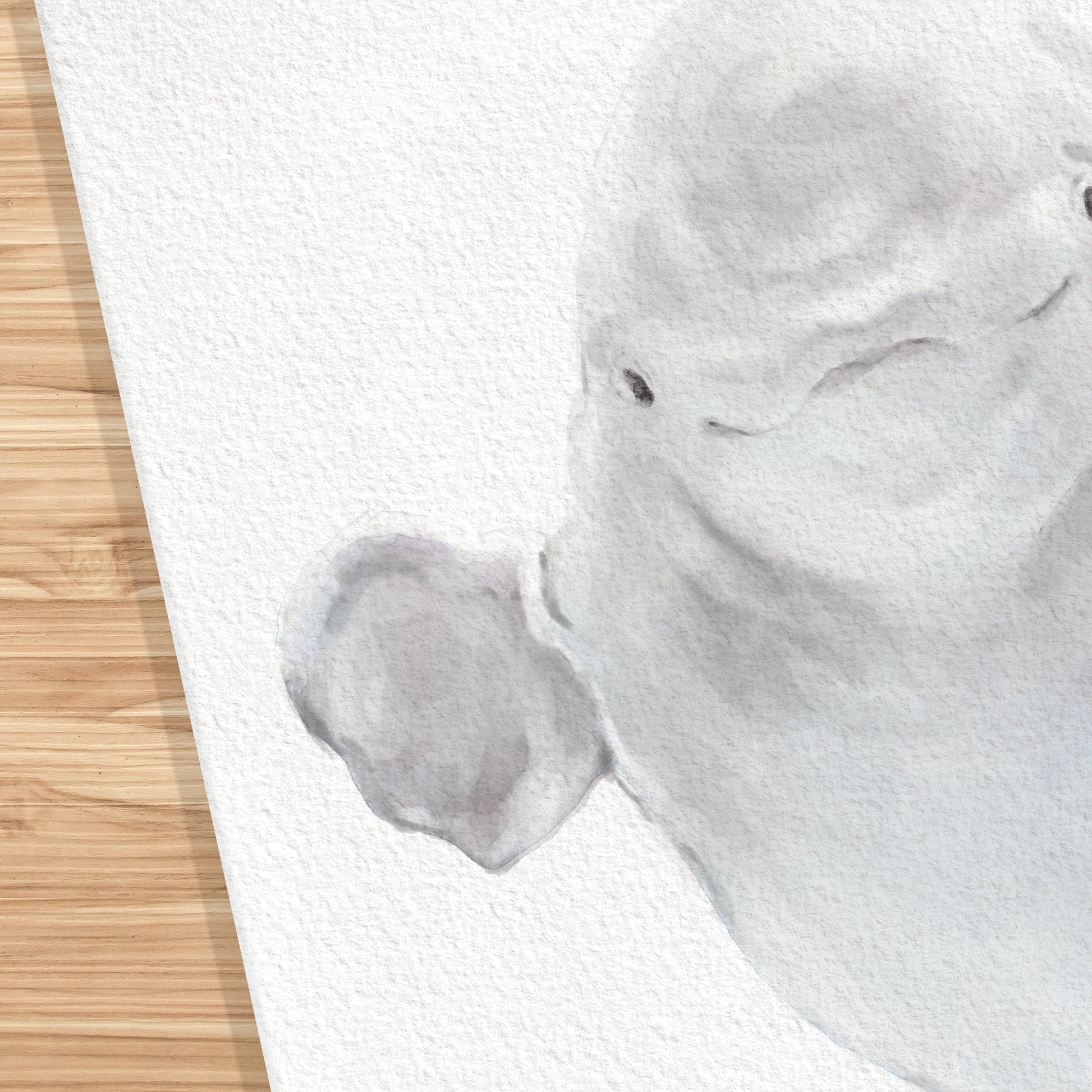 Estampe aquarelle Bébé Béluga