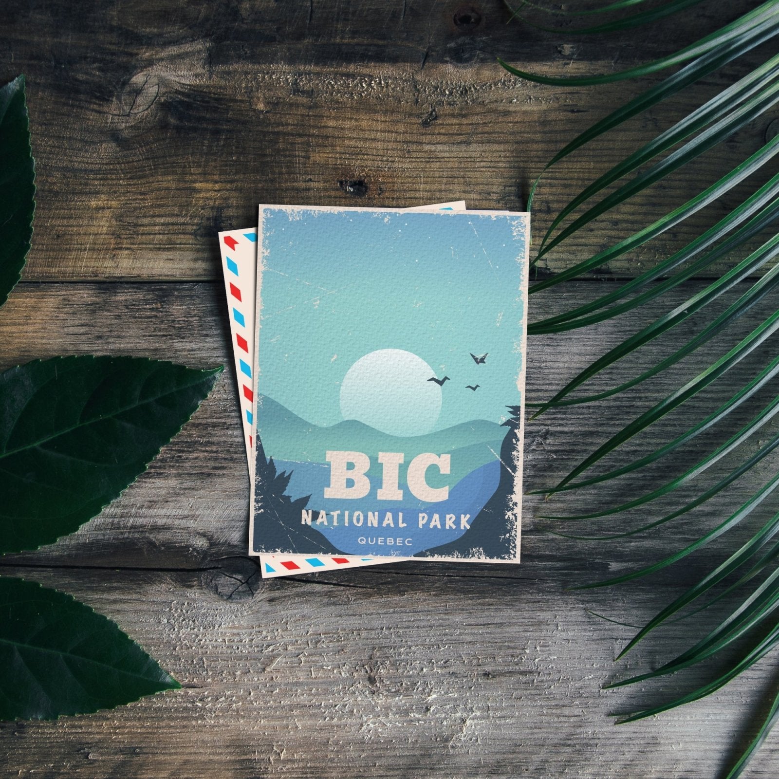 Bic Quebec National Park Postcard
