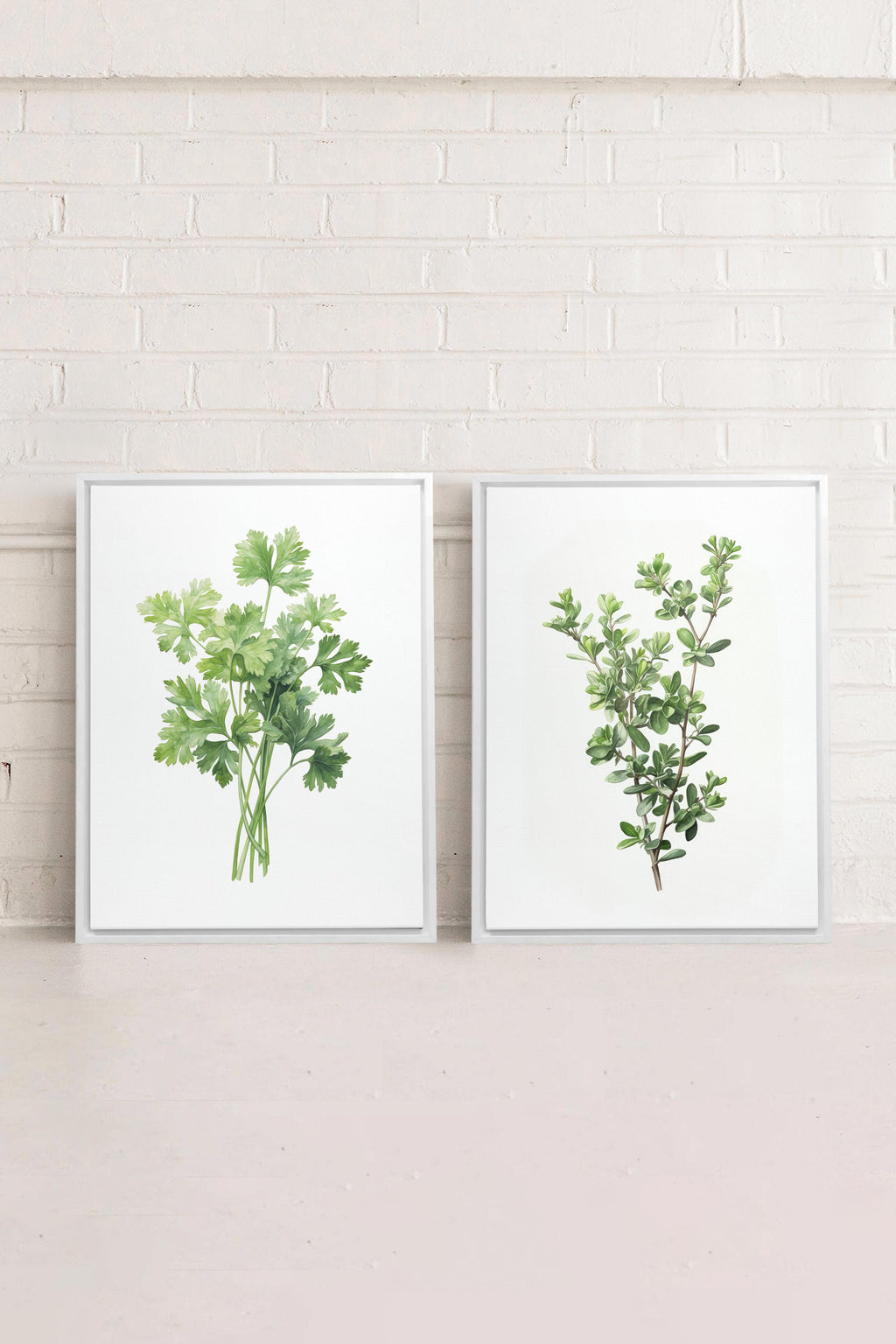 DUO FINE HERBS (2 Stretched Canvas Works)