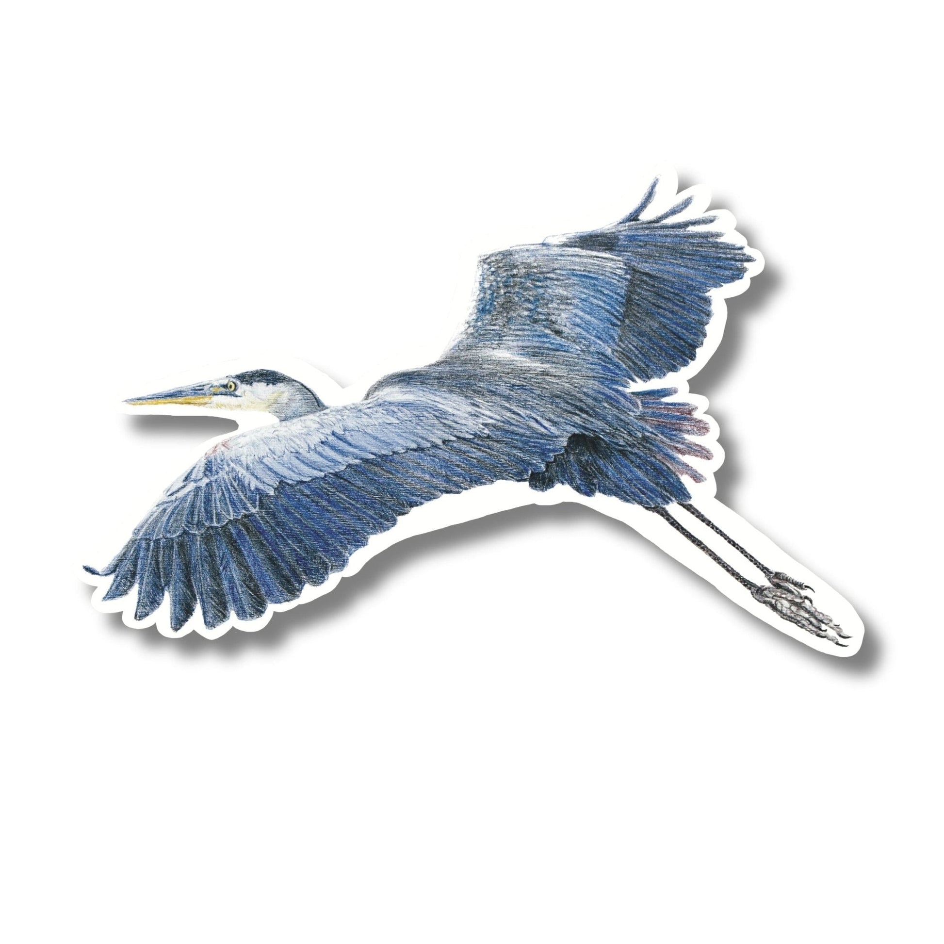 Blue Heron sticker