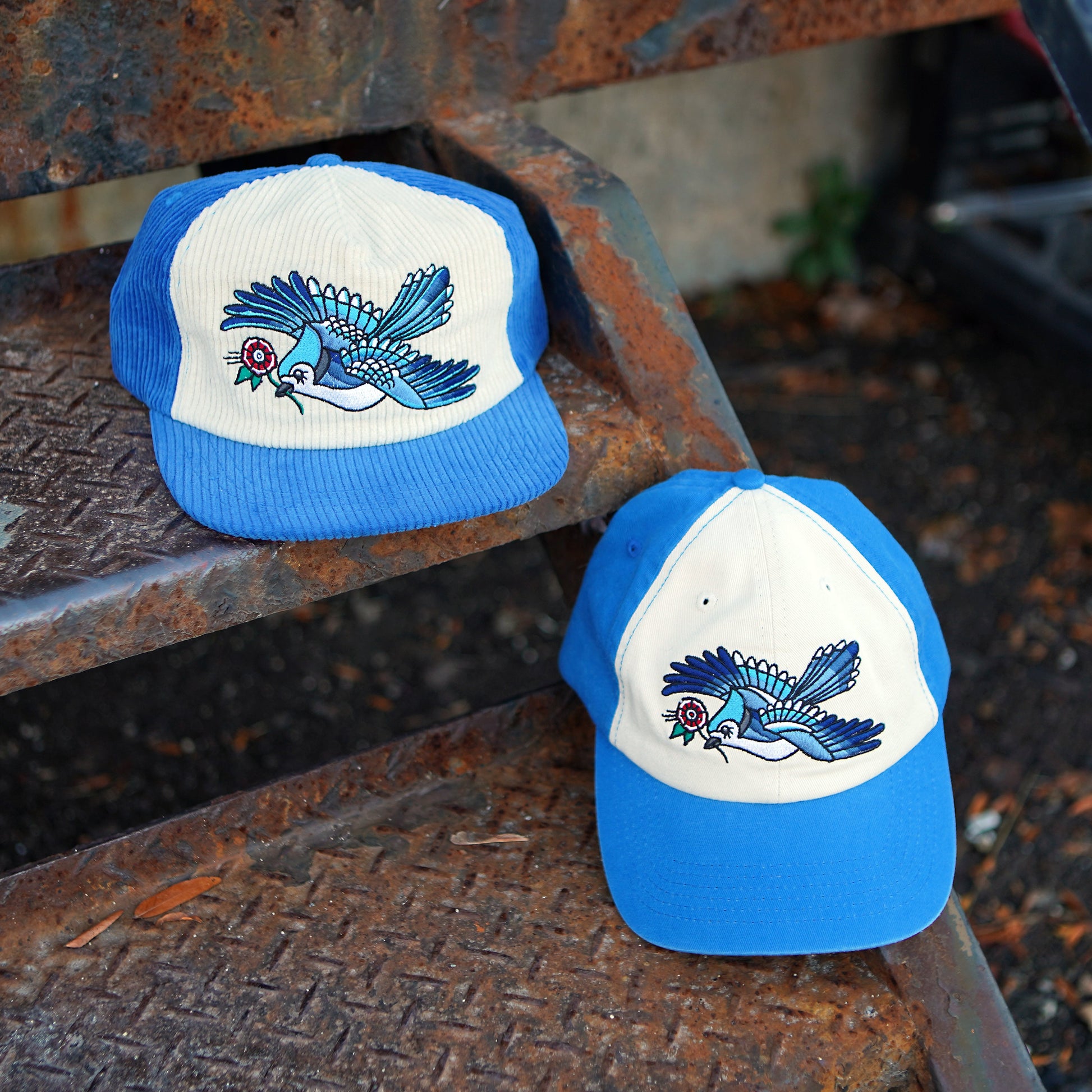 Casquette bicolore Blue Jay