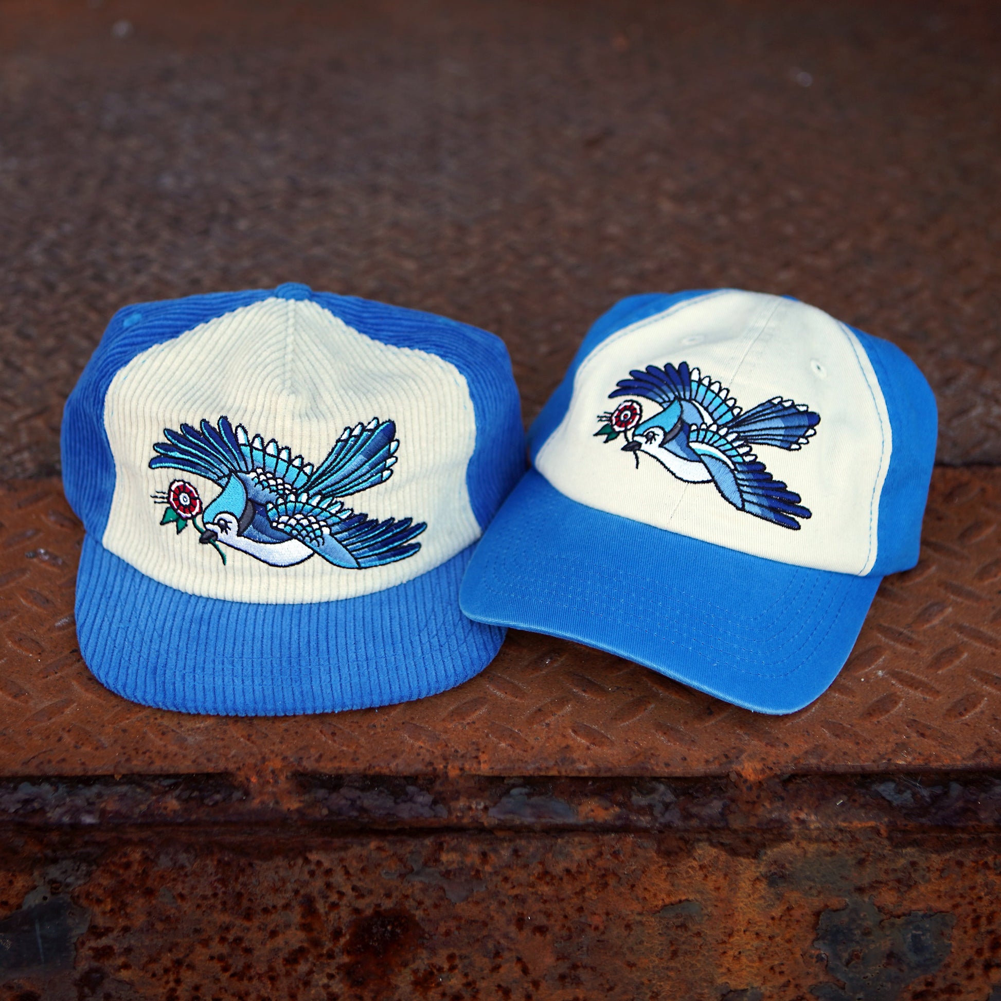 Casquette bicolore Blue Jay