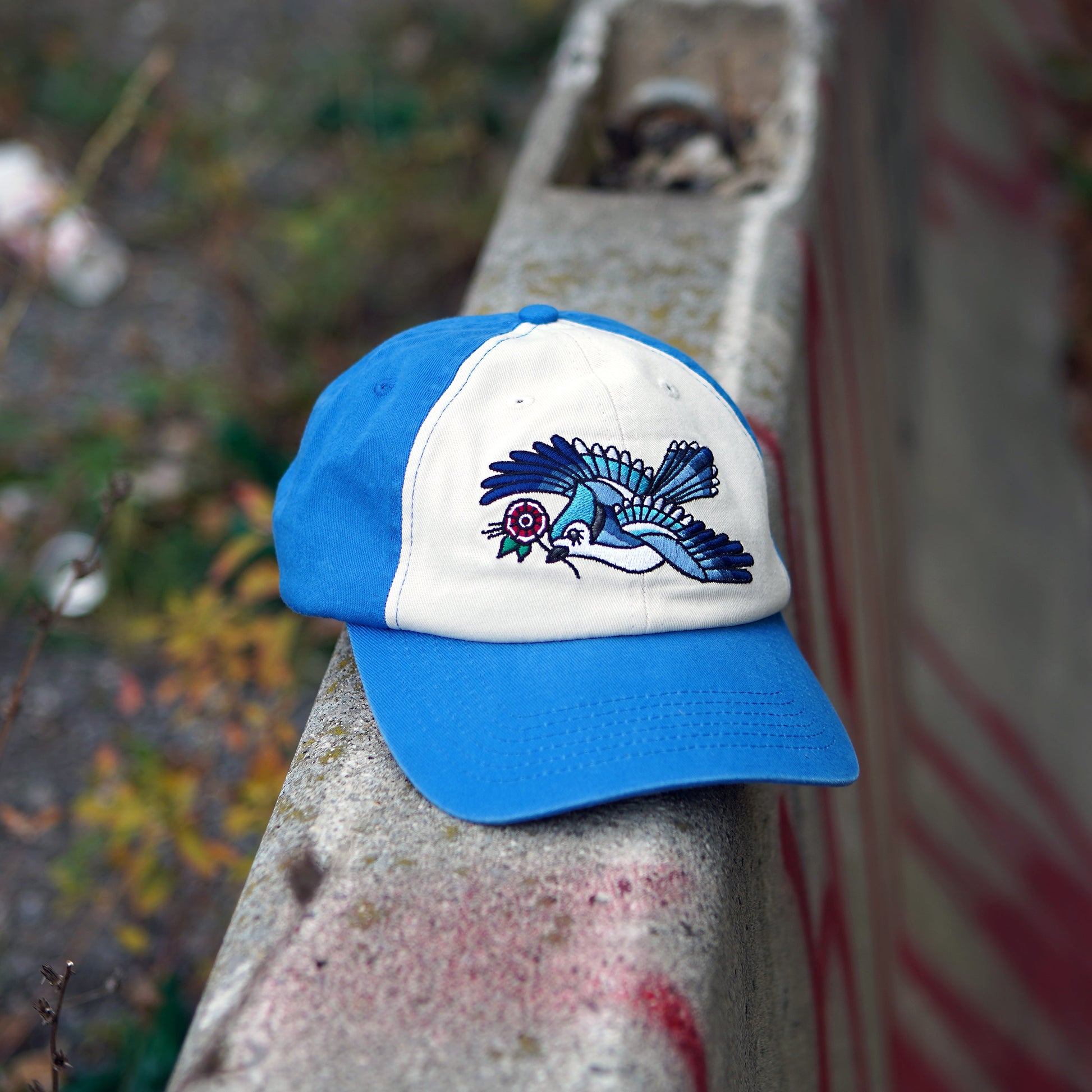 Casquette bicolore Blue Jay