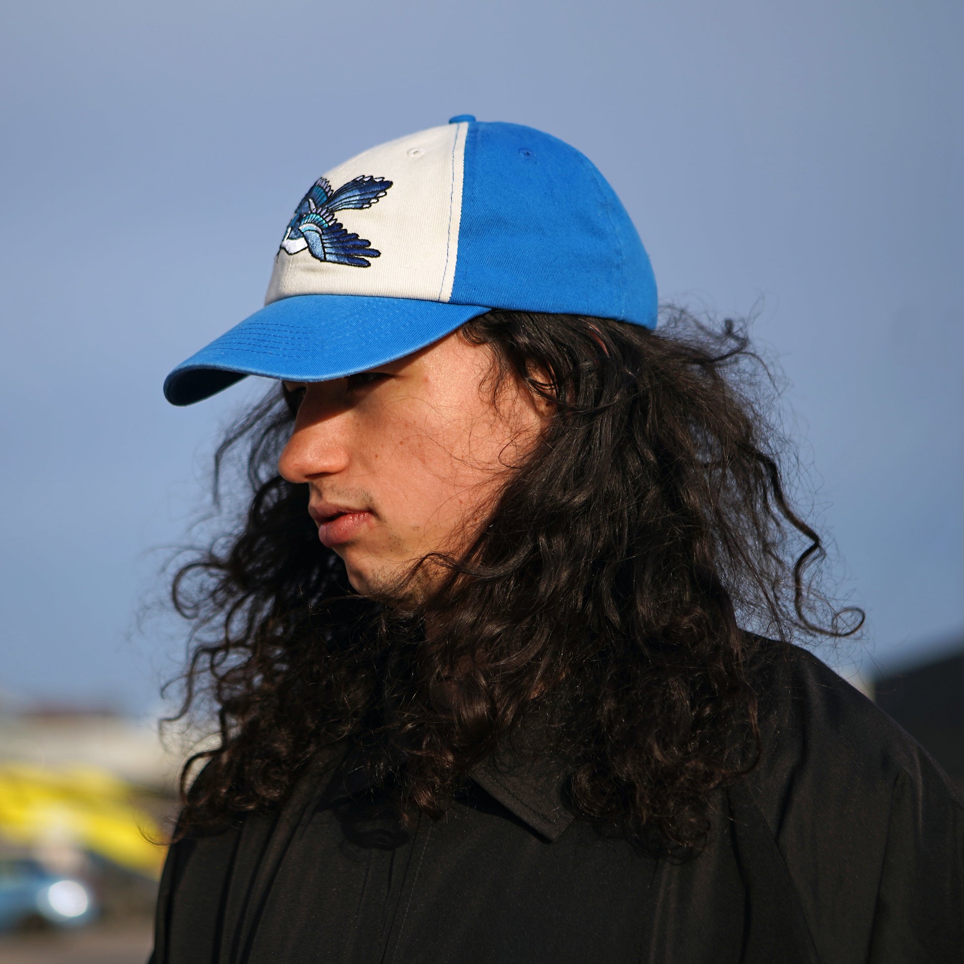 Casquette bicolore Blue Jay