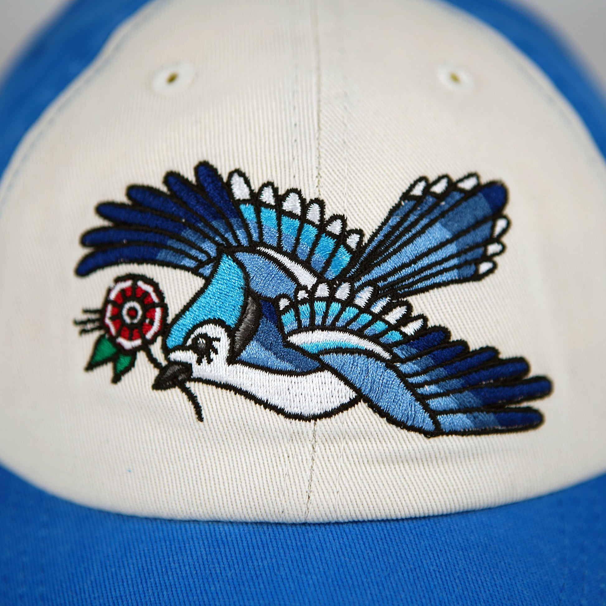 Casquette bicolore Blue Jay