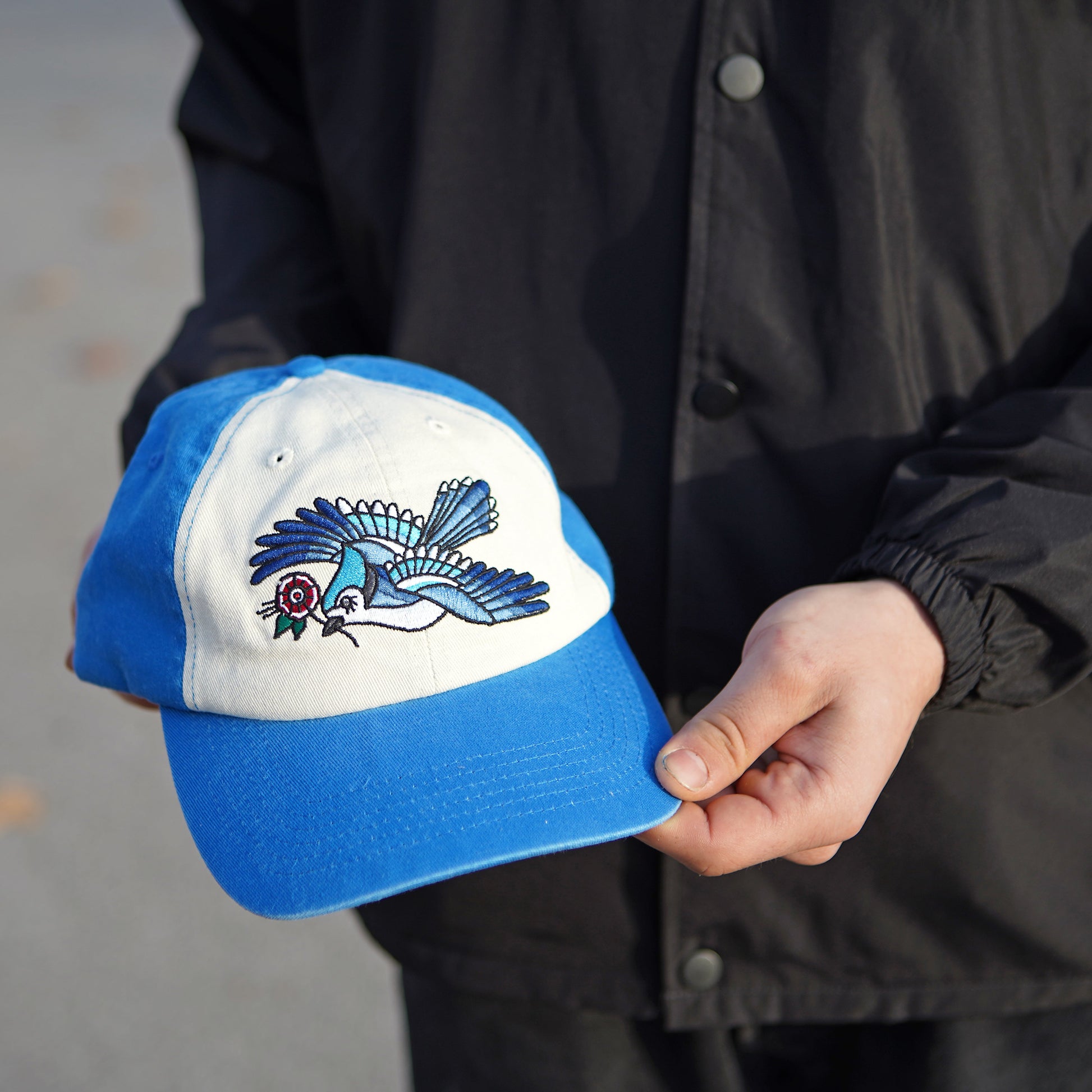 Casquette bicolore Blue Jay
