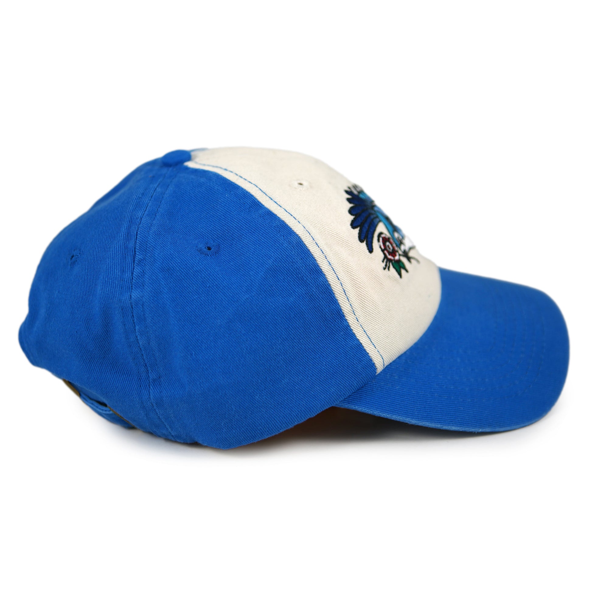 Casquette bicolore Blue Jay