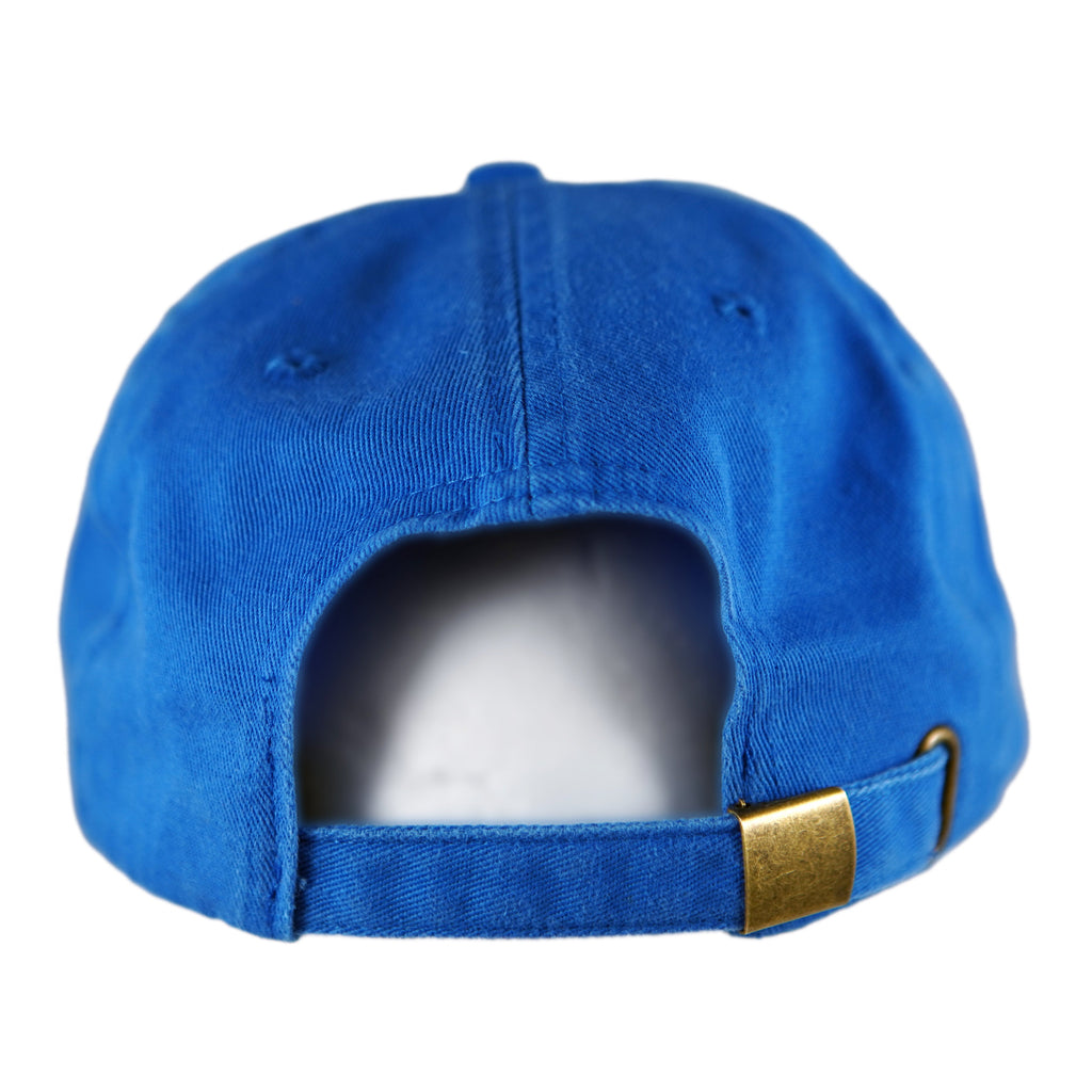 Blue Jay Two-Tone Dad Hat