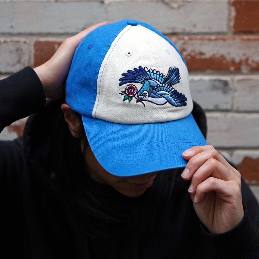 Casquette bicolore Blue Jay