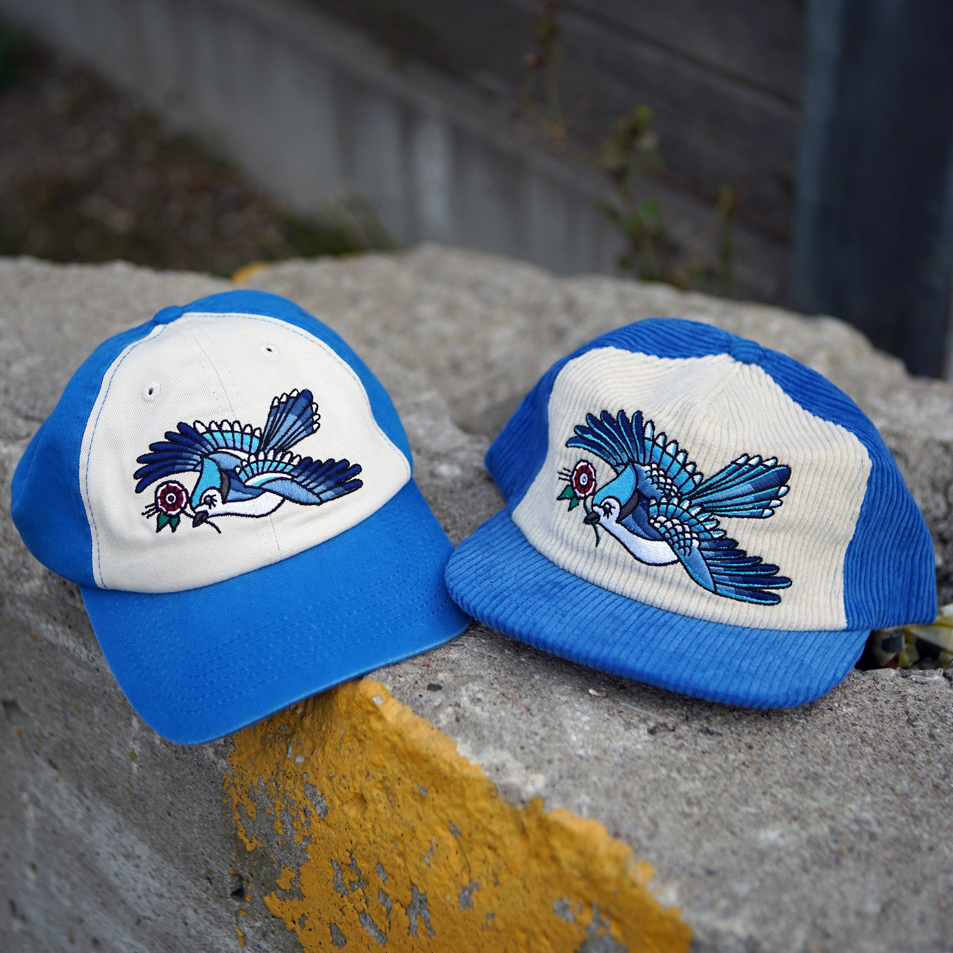 Casquette bicolore Blue Jay