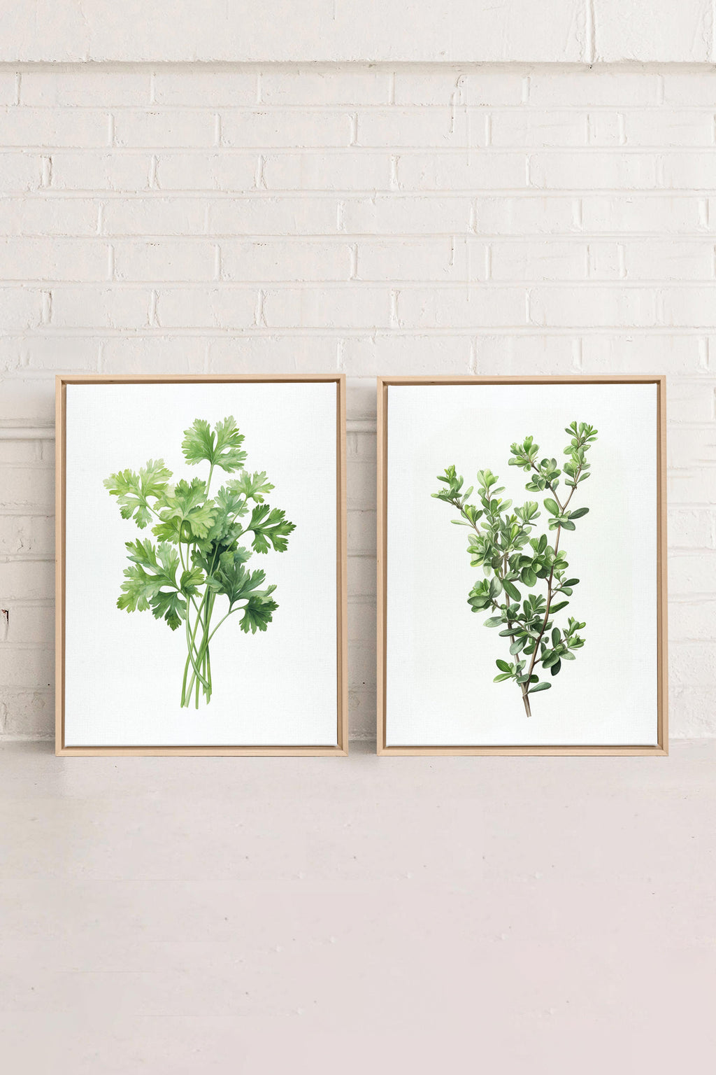 DUO FINE HERBS (2 Stretched Canvas Works)