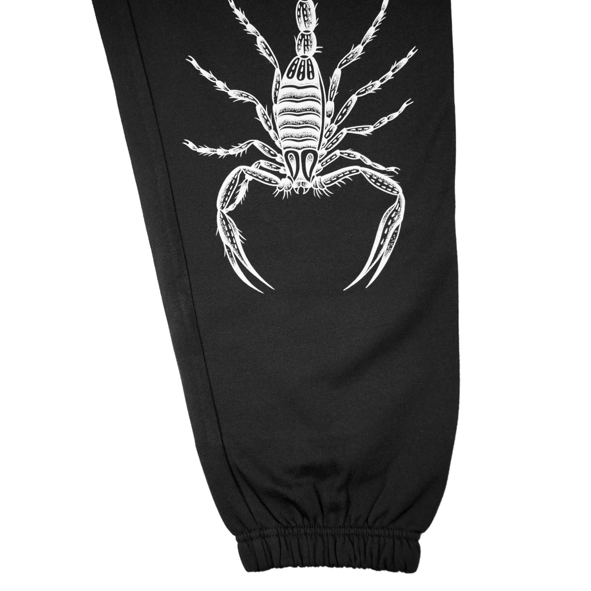 Bug Sweat Pants