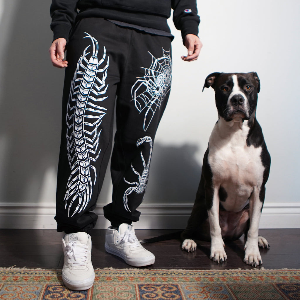 Pantalon de survêtement anti-insectes