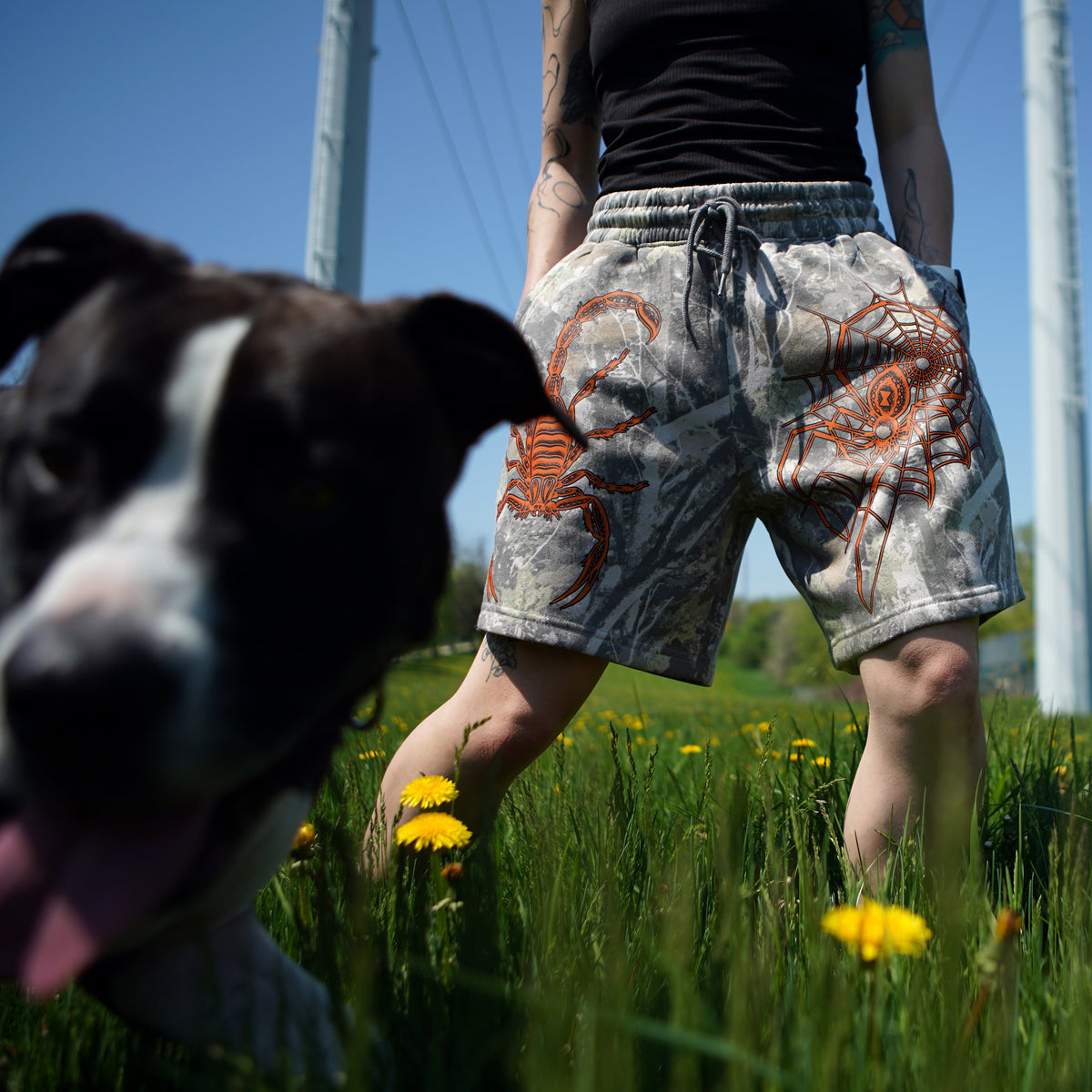 Shorts anti-insectes