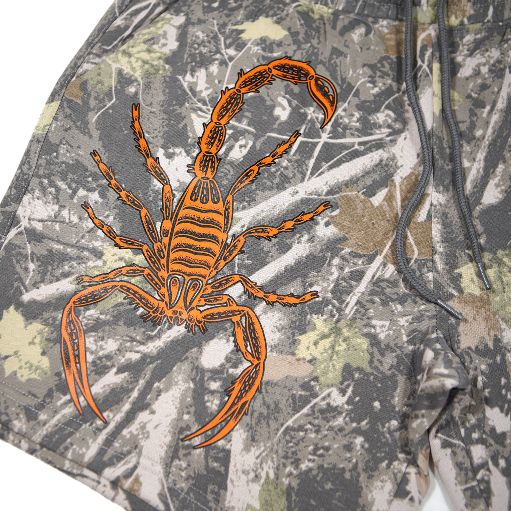 Shorts anti-insectes