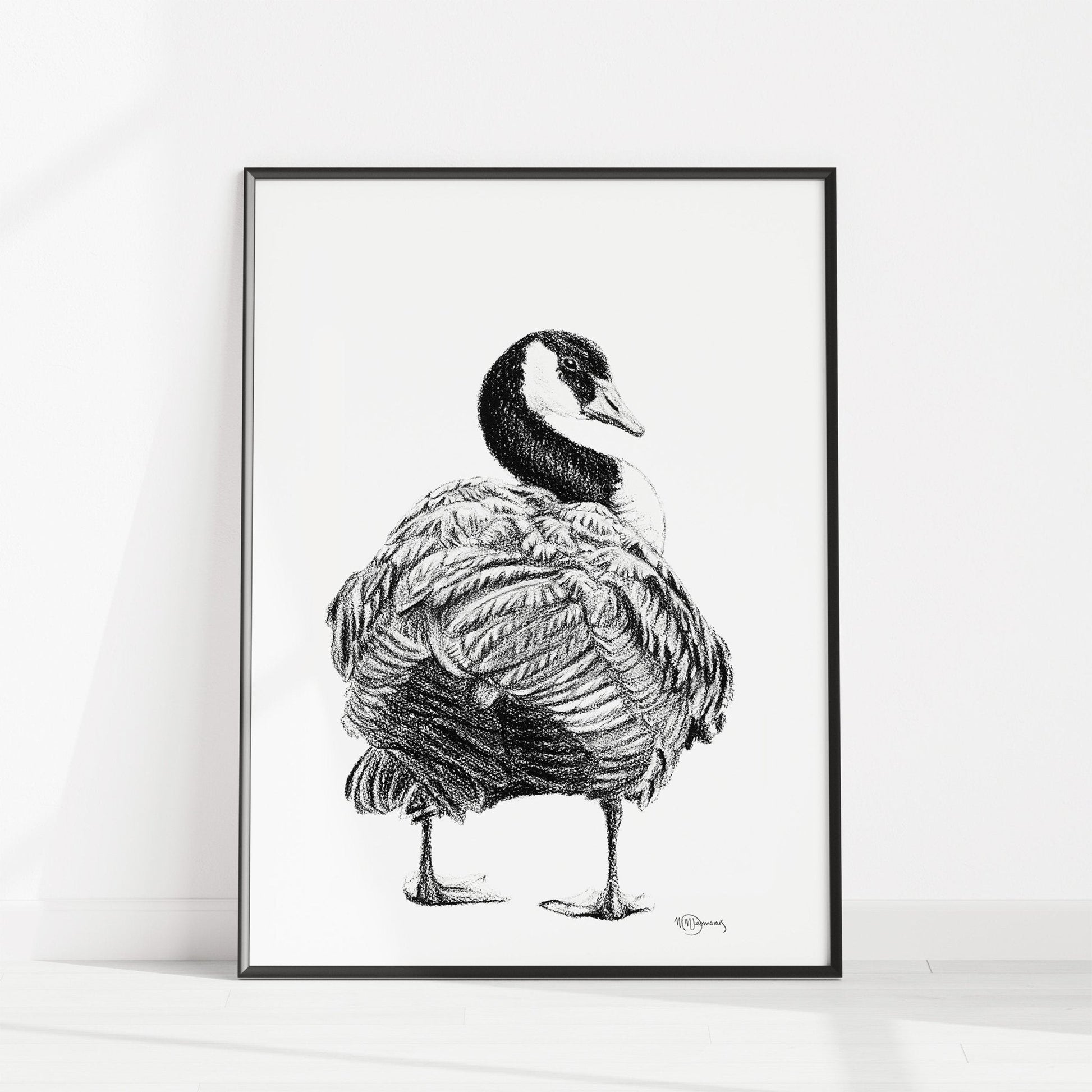 Canada Goose - art print