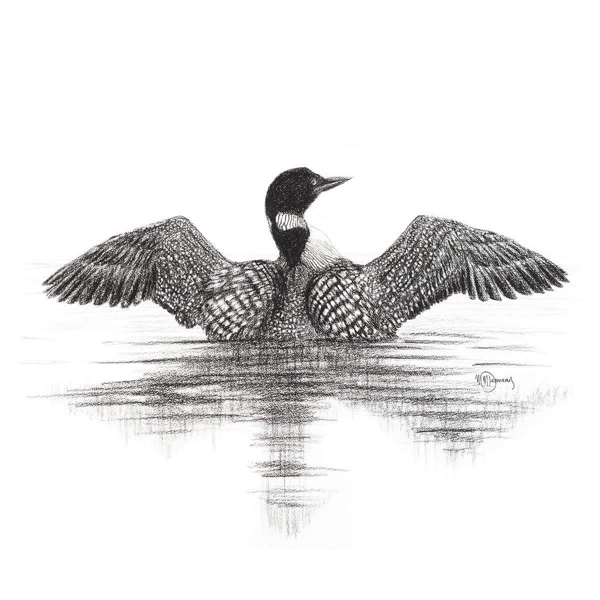 Canadian Loon - wildlife art print