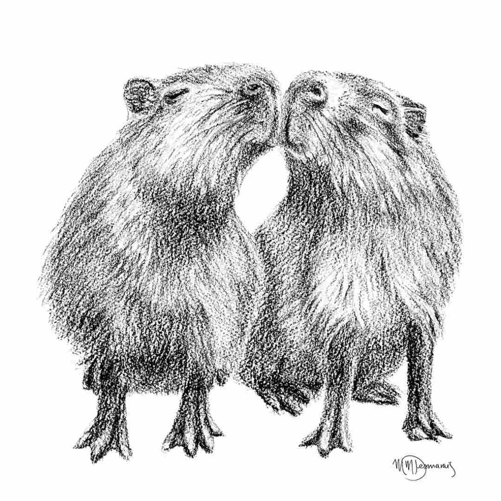 Kissing Capybaras - Animal Art Print