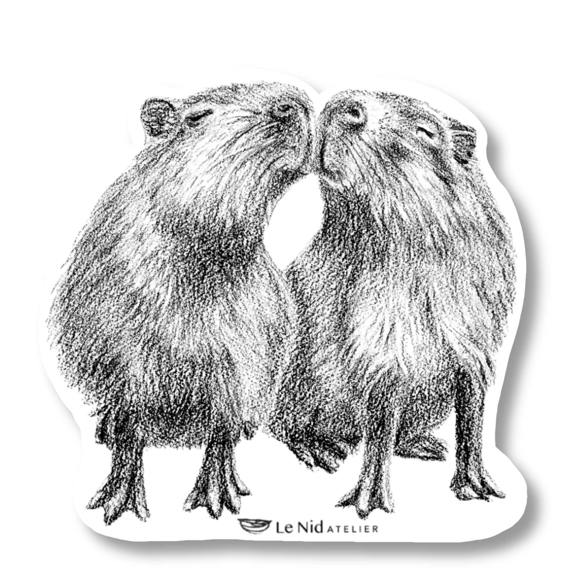 Capybaras - Magnet