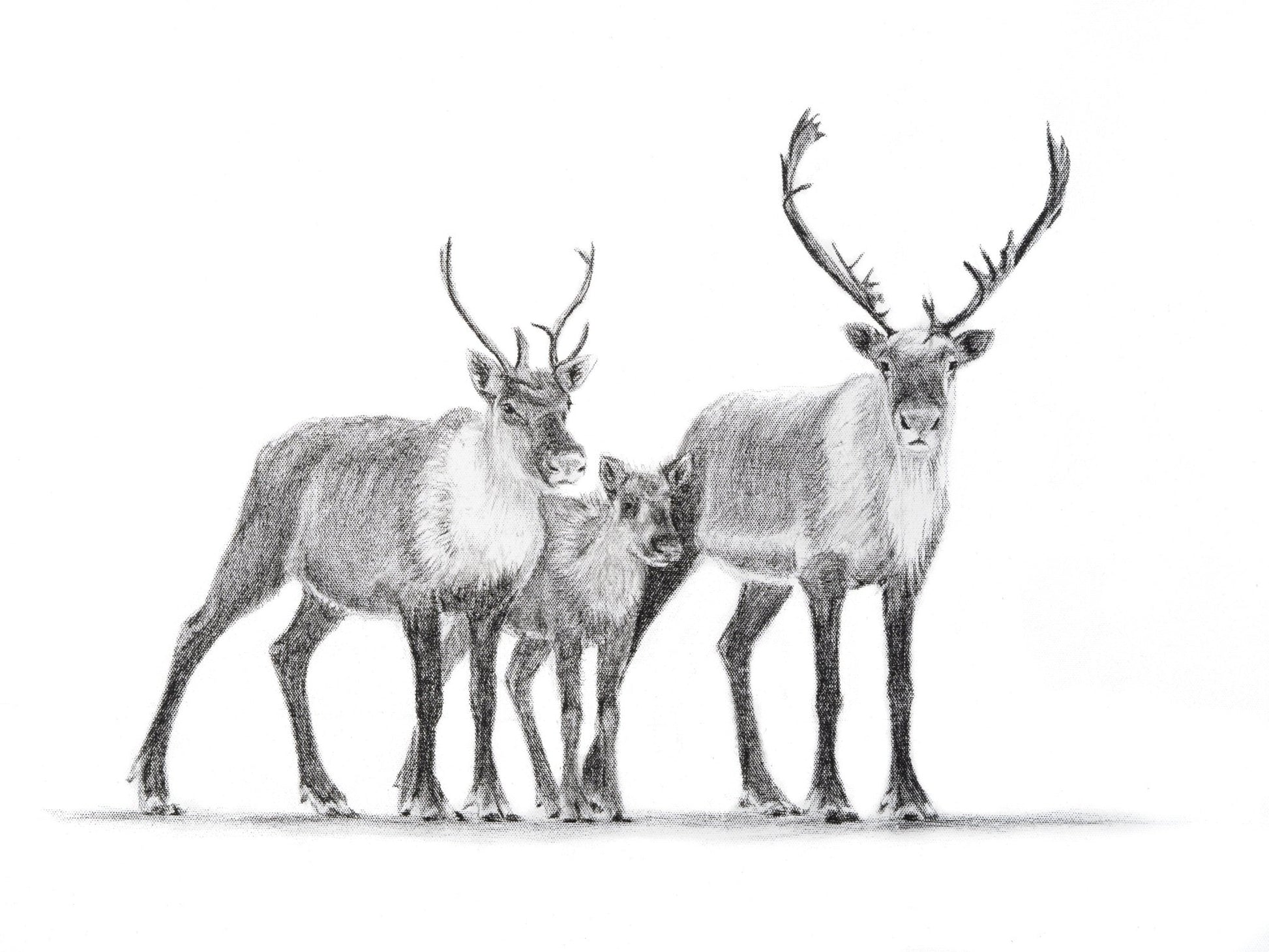 Caribou Family Magnet