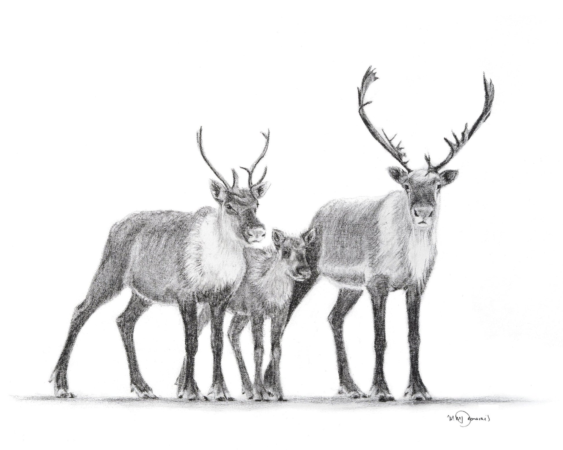 Caribous Family - Woodland Animal Wall Art