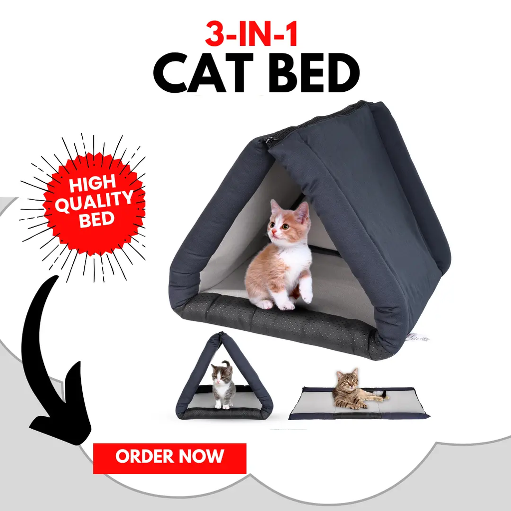cat bed tunnel and mat