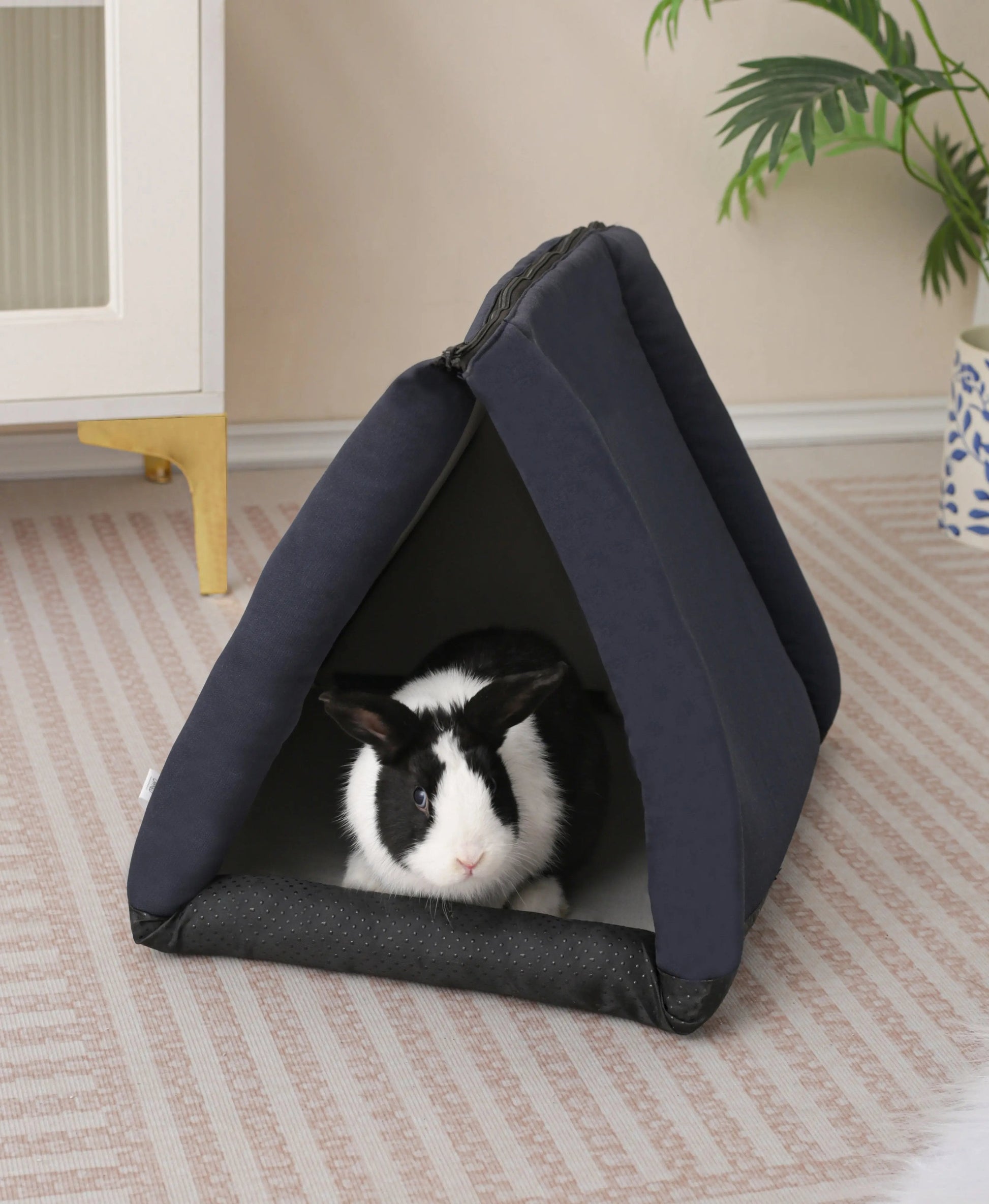 Convertible Tunnel Pet Bed for Rabbits & Cats – Hideout, Mat & Cave in One