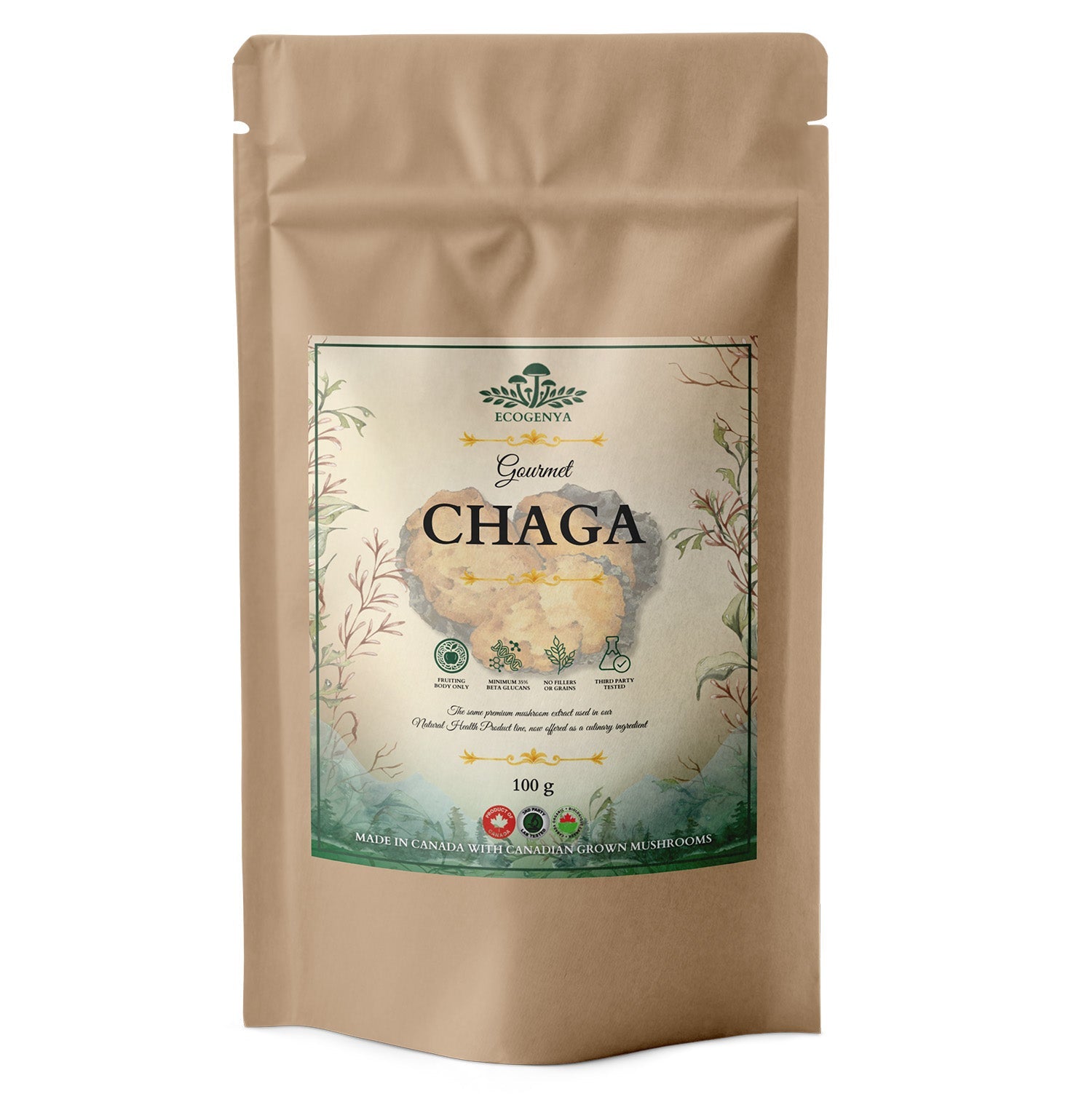 Ecogenya Gourmet Chaga Mushroom Powder – Wild-Harvested Canadian Organic 10:1 Extract