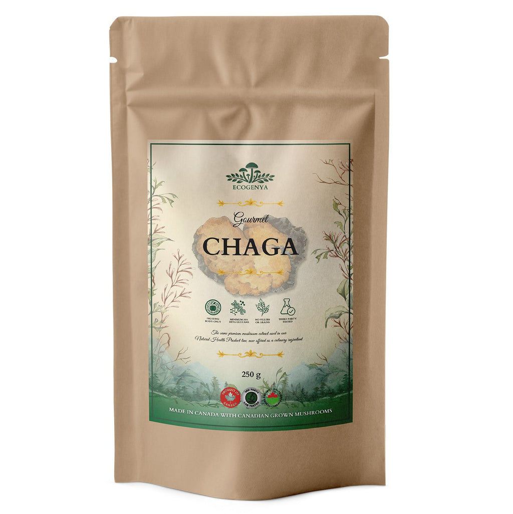 Ecogenya Gourmet Chaga Mushroom Powder – Wild-Harvested Canadian Organic 10:1 Extract