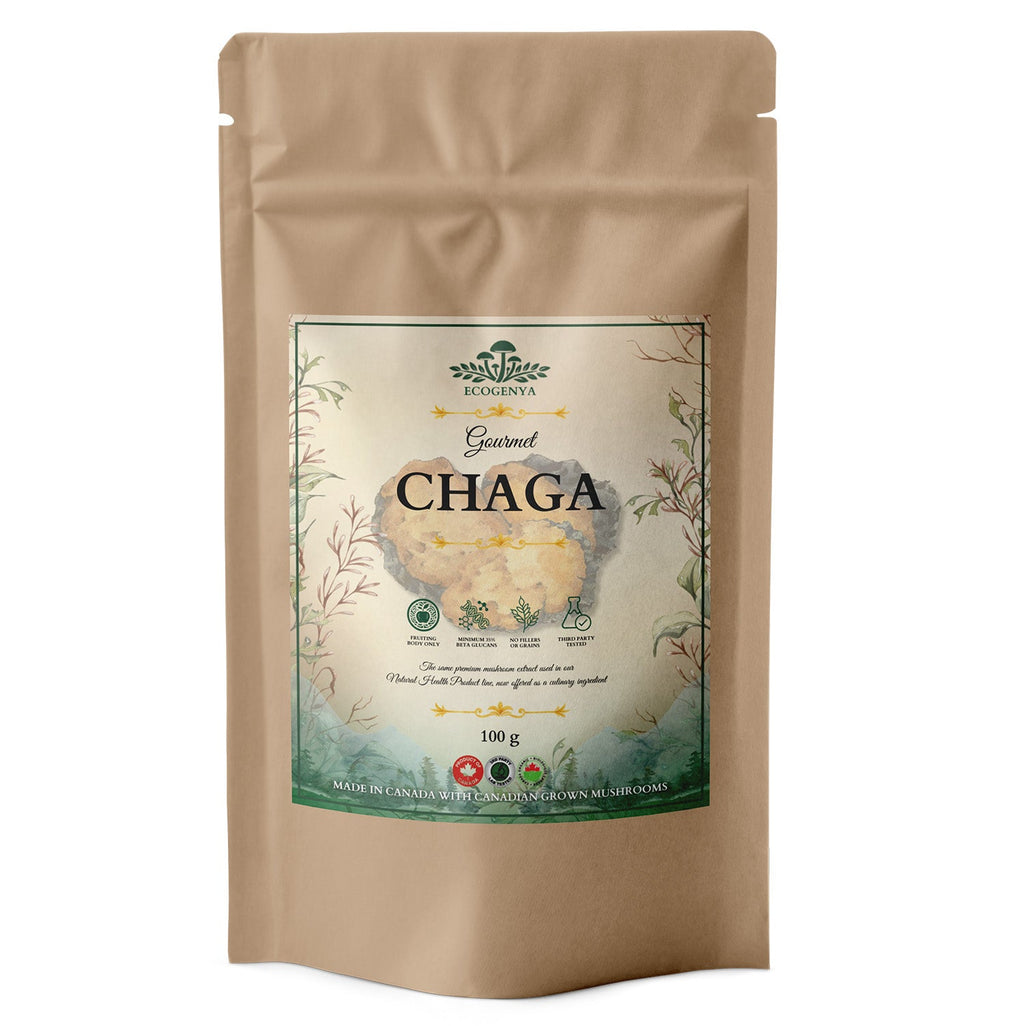 Ecogenya Gourmet Chaga Mushroom Powder – Wild-Harvested Canadian Organic 10:1 Extract