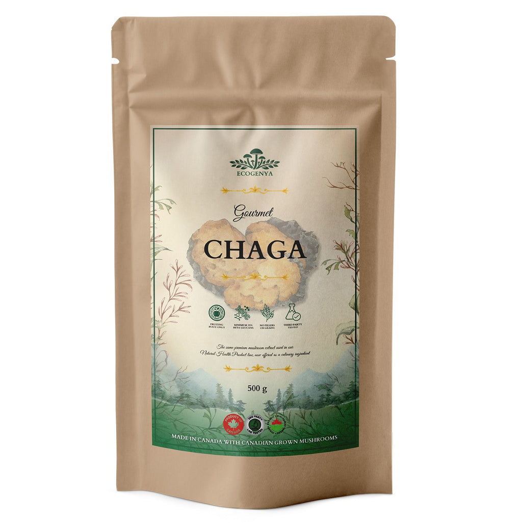 Ecogenya Gourmet Chaga Mushroom Powder – Wild-Harvested Canadian Organic 10:1 Extract