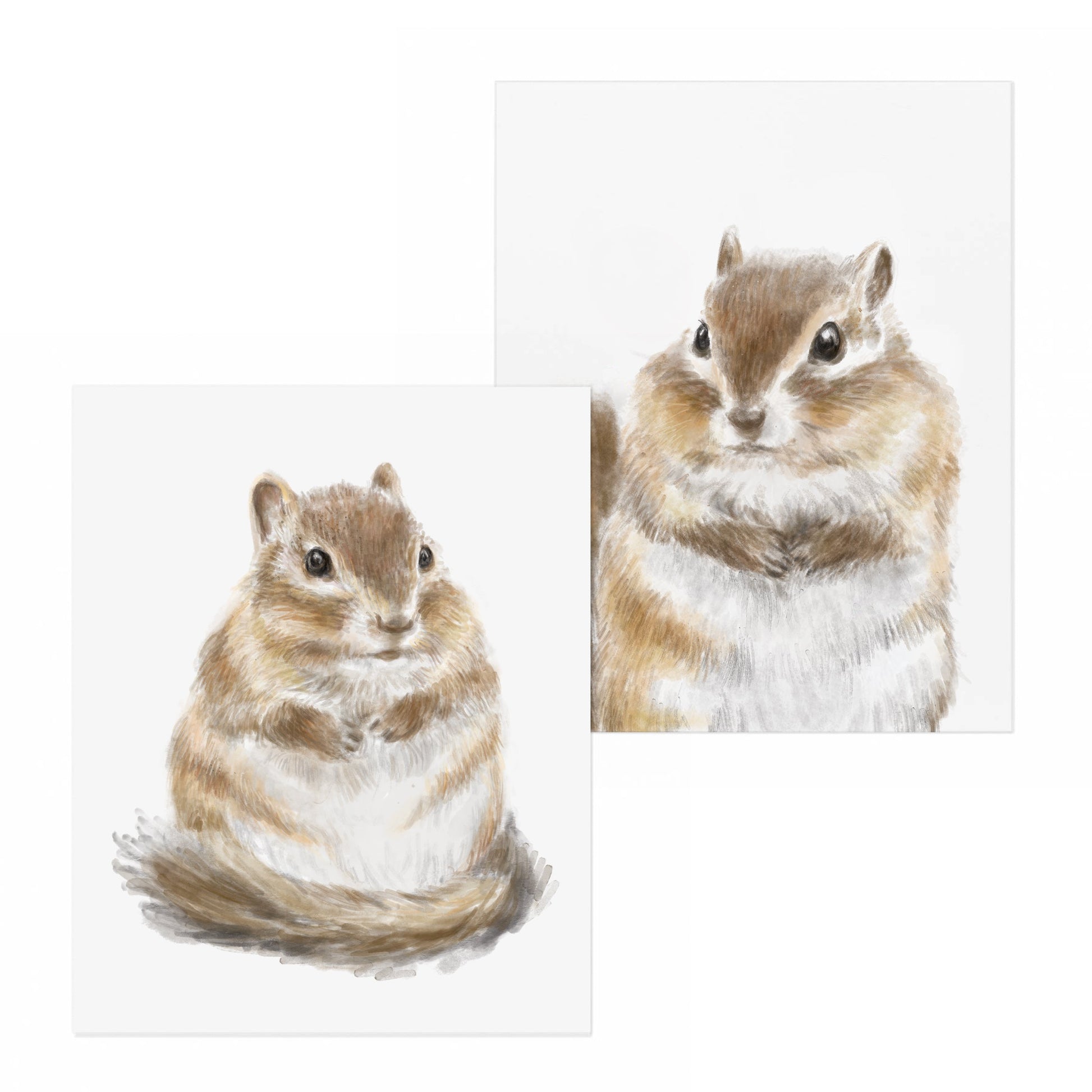 Ensemble d'estampes Chipmunk