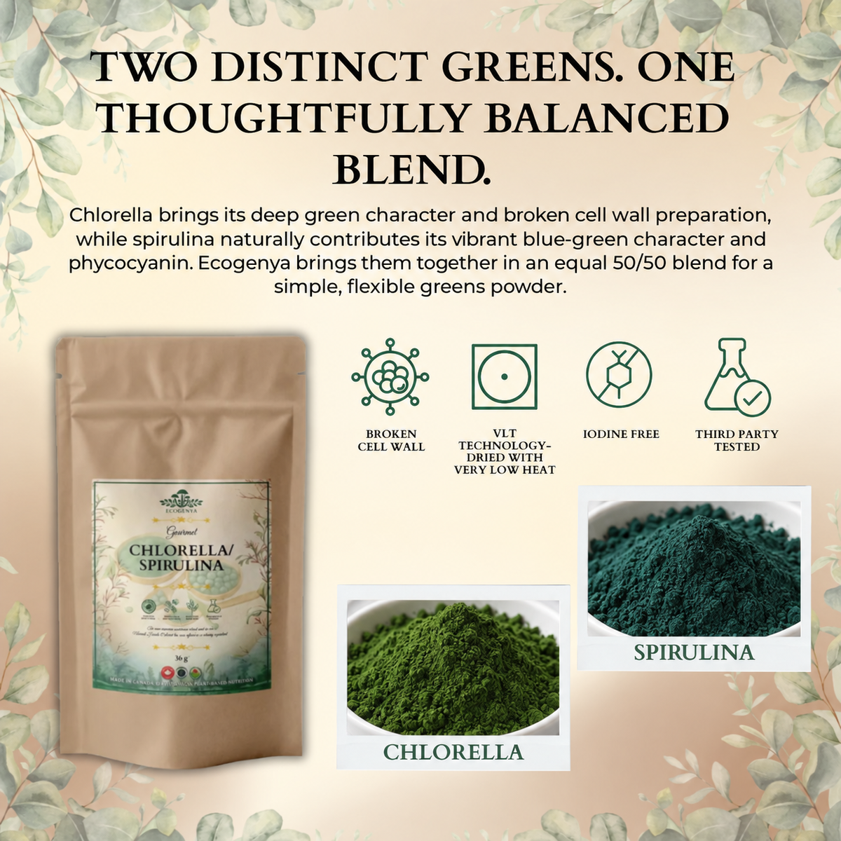 Ecogenya Daily Greens Chlorella & Spirulina Powder – 50/50 Blend for Smoothies & Juices