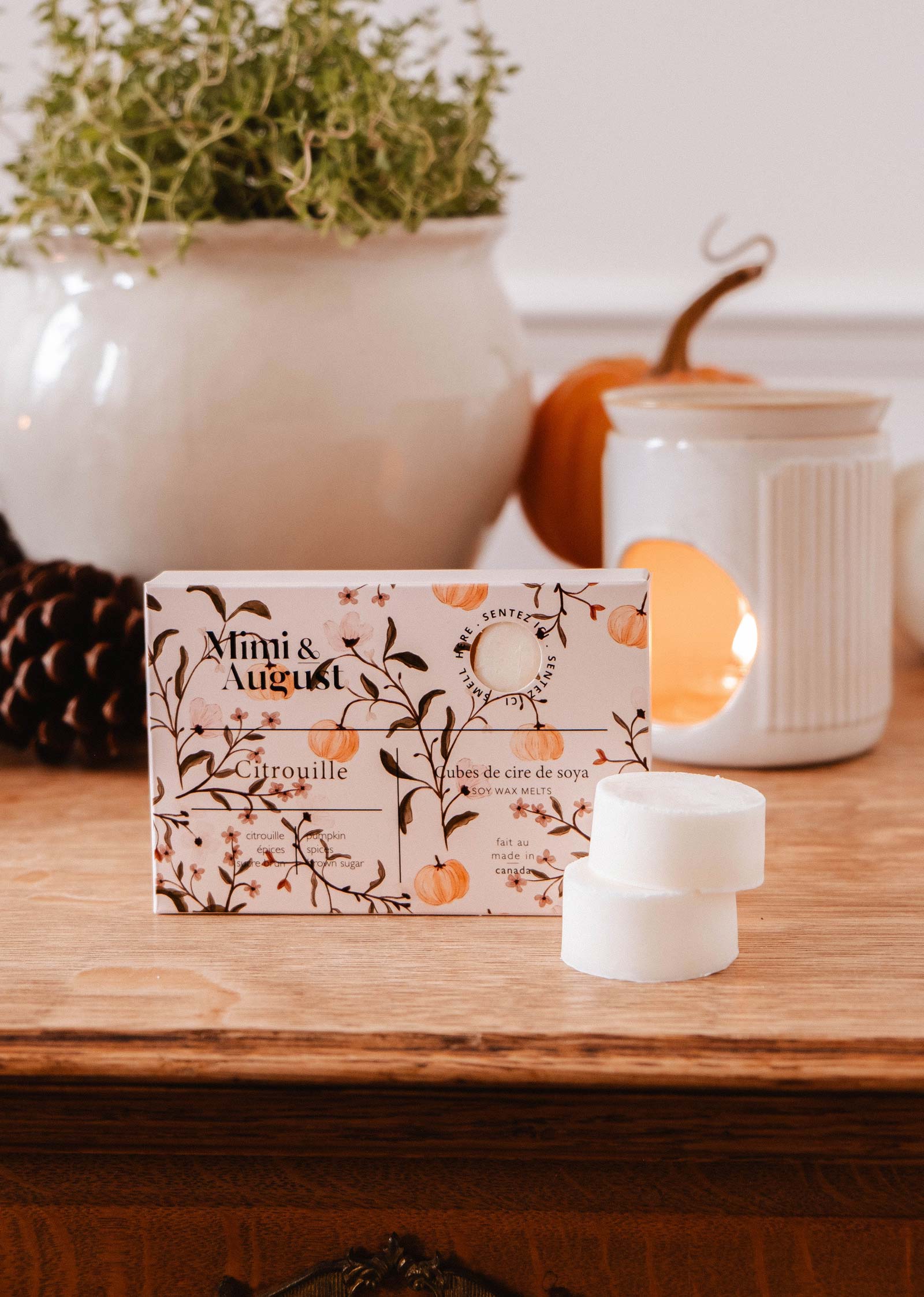 Fondants à la cire de soja - Citrouille