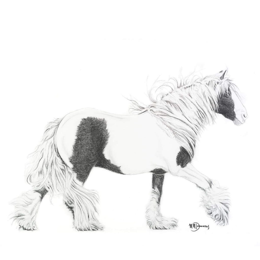 Cob Gypsy Horse - Black and white large wall art