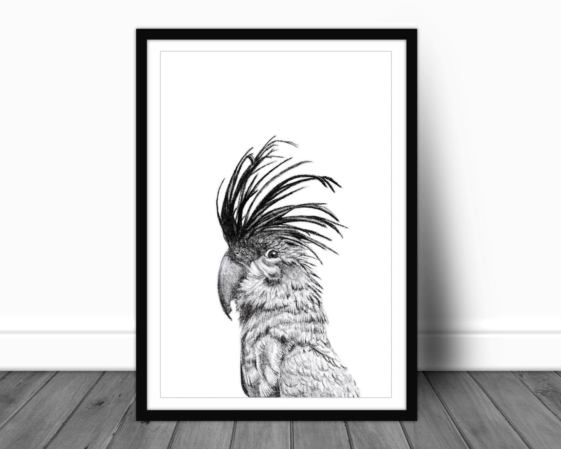 Cockatoo Portrait - wildlife art print